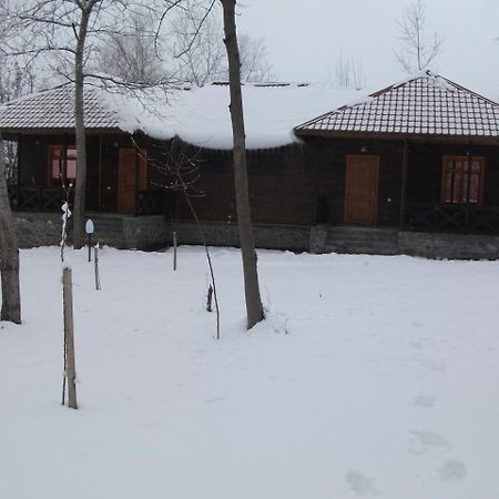 Kish Adasi Sheki Exterior photo