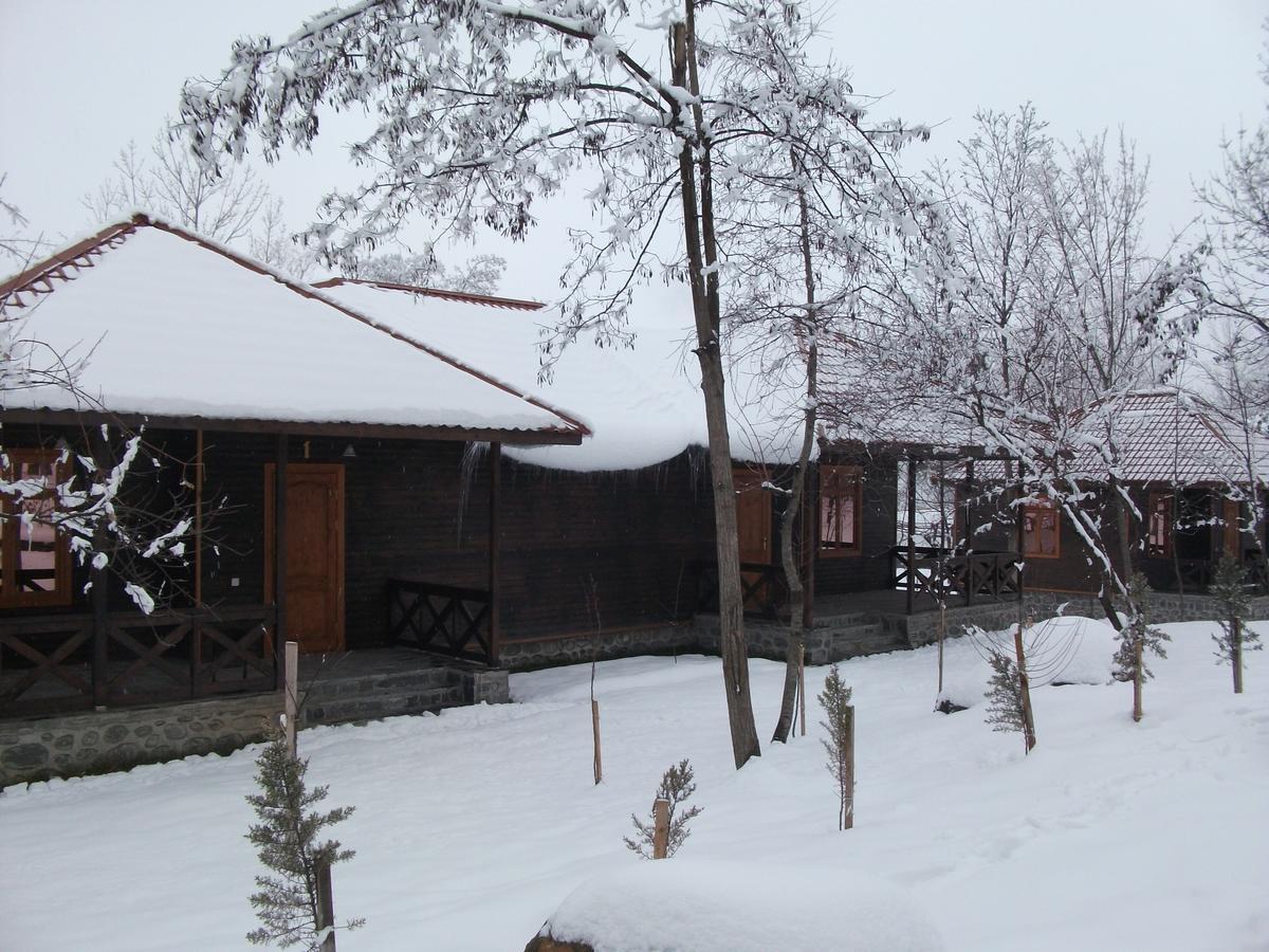 Kish Adasi Sheki Exterior photo