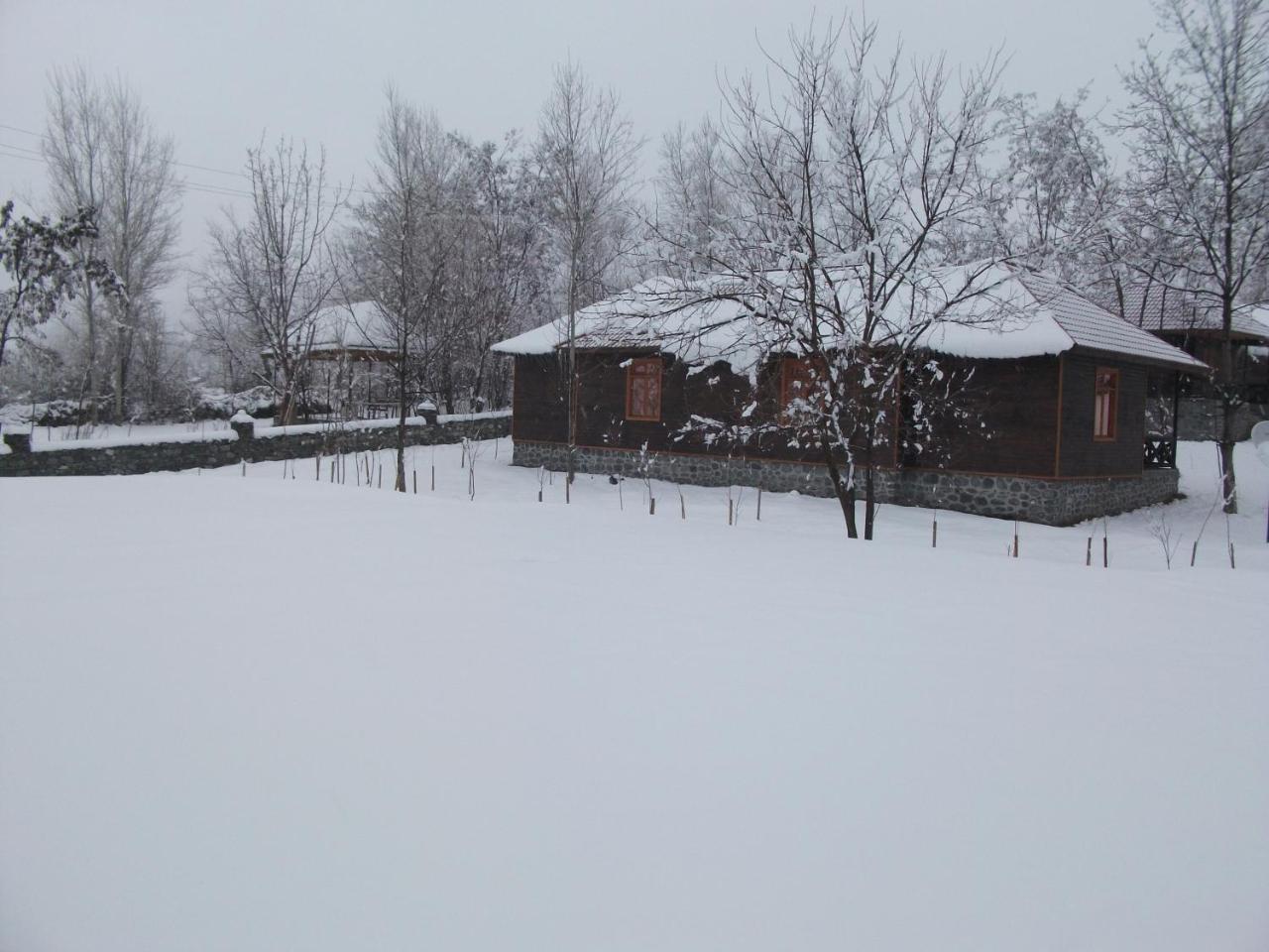Kish Adasi Sheki Exterior photo