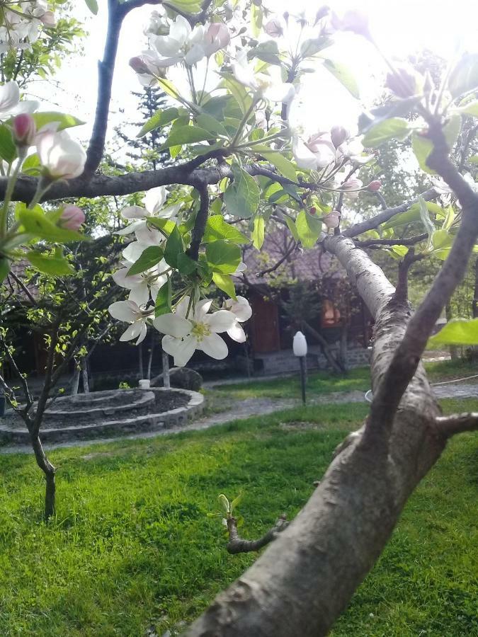 Kish Adasi Sheki Exterior photo